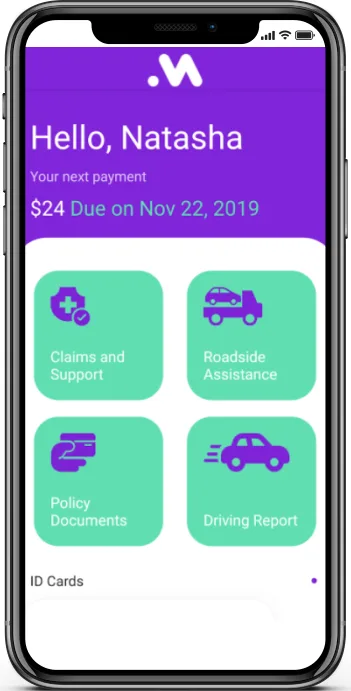 Picture not described