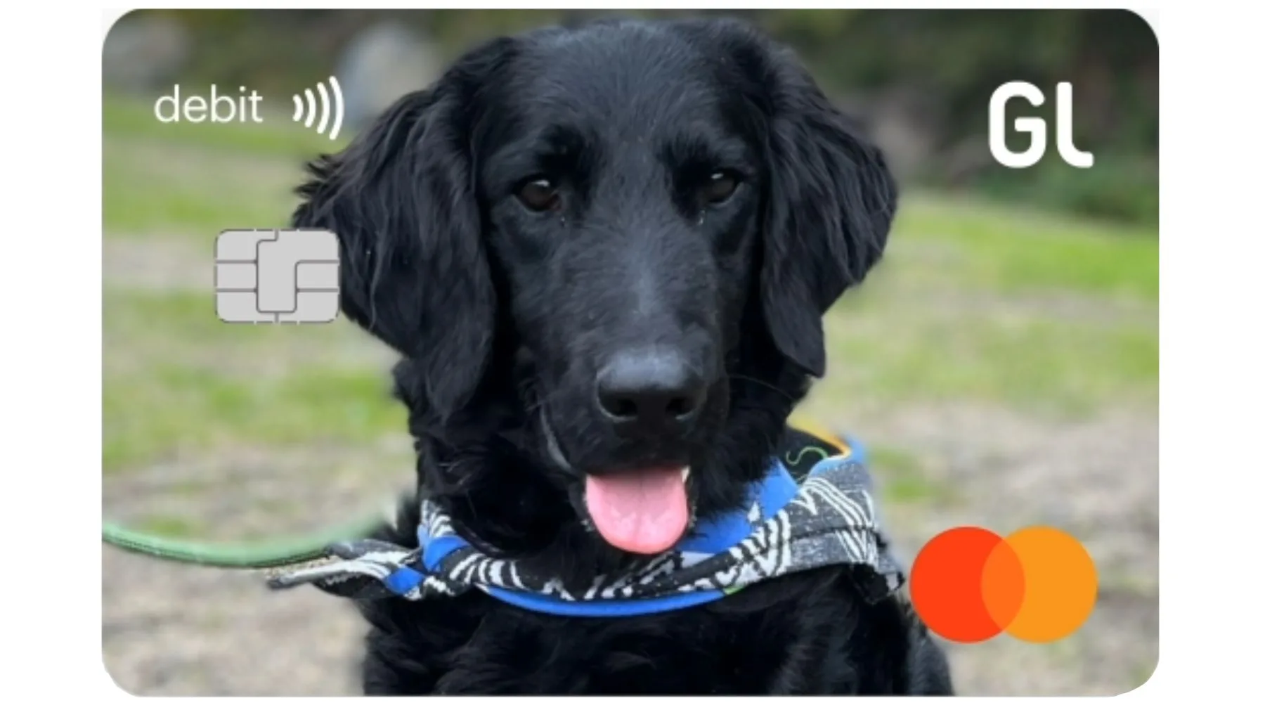9 Banks with Custom Debit Cards (With Examples)