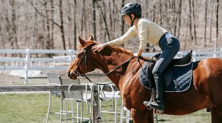 Best Personal Loans for a Horse in 2026