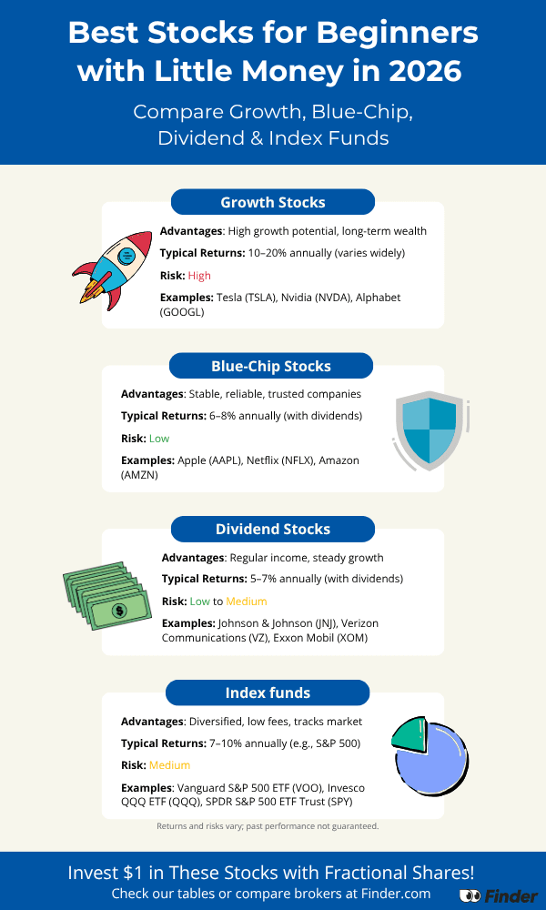 Compare growth, blue-chip, dividend stocks and index funds