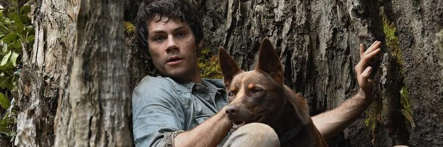 The best movies on Netflix NZ in June 2021 Finder NZ The best movies on Netflix NZ in June 2021 Finder NZ