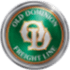 Old Dominion Freight Line icon