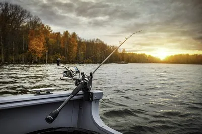 Fishing rod and boat on water