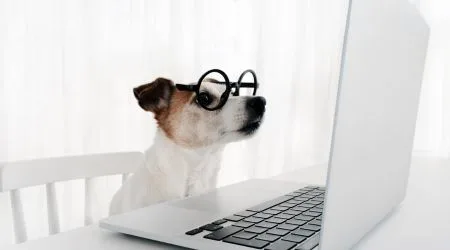 No bank verification loans in Canada