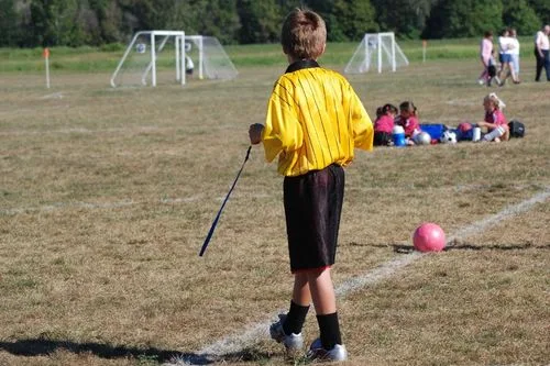 Picture of a referee on a soccer field