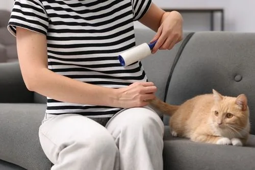 Woman sitting on a couch with a cat