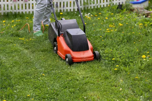 Person pushing a lawnmower through grass