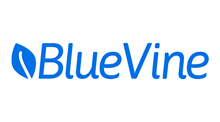 BlueVine Business Checking review