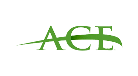 ACE small business loans review