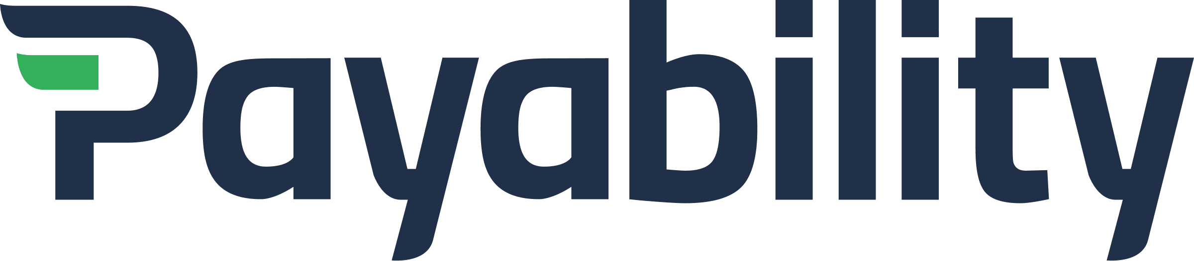 Payability logo