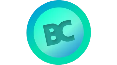 Bigcash logo